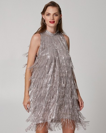 Lynne mini dress with sequin fringe Silver